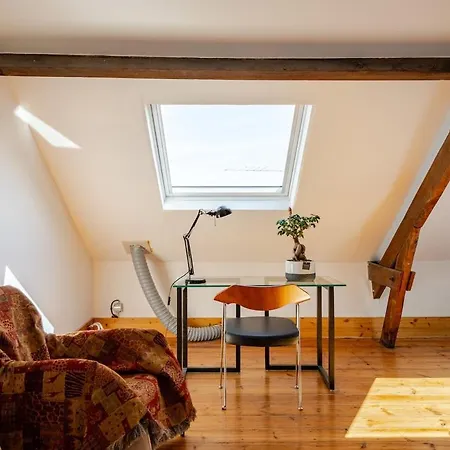 Tatil Evi Jolie Maison En Bois Authentique Dunkirk