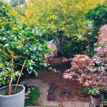 Tatil Evi Jolie Maison En Bois Authentique